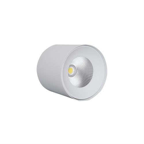 FARO DA SOFFITTO LED COB 18W 1200LM 3000K PALMA