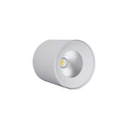 FARO DA SOFFITTO LED COB 18W 1200LM 3000K PALMA