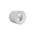FARO DA SOFFITTO LED COB 18W 1200LM 3000K PALMA