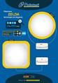 CORPORATE A22 ZELDA 401039-40X