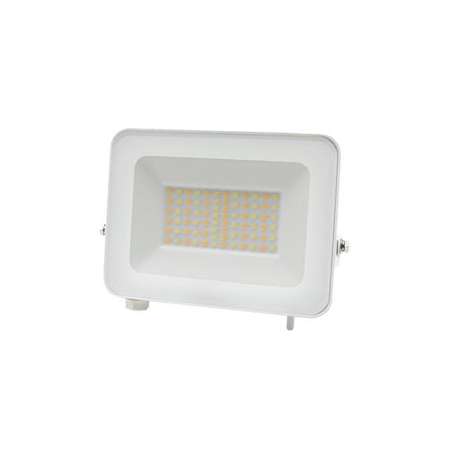 PROIETTORE LED 30W 3CCT DAFNE